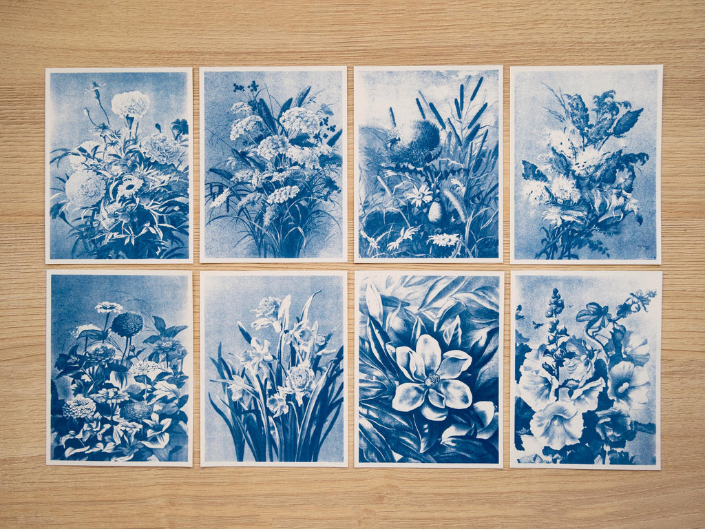 Ellen Thayer Fisher Botanical Art Cyanotype prints