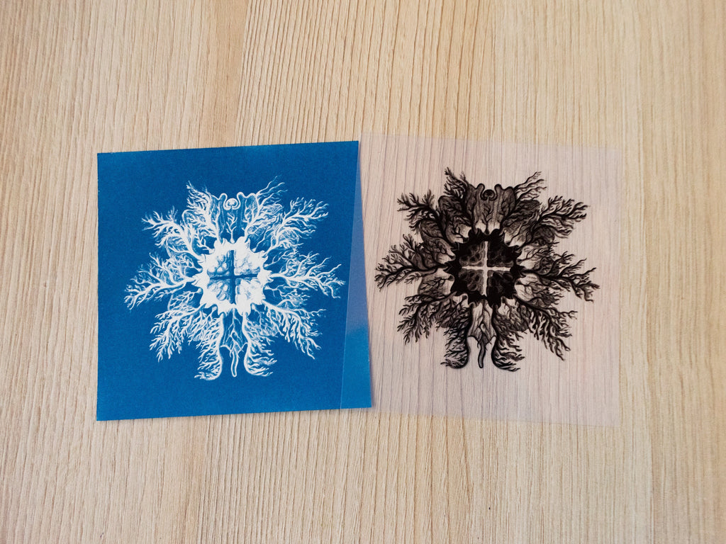 Ernst Haeckel sea creature cyanotype print
