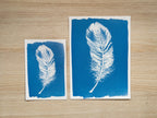 Feather cyanotype print