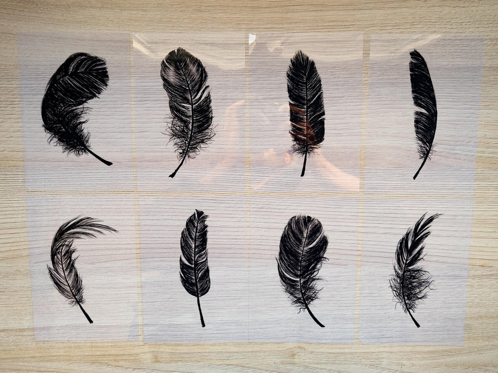 Feathers Stencils for cyanotype