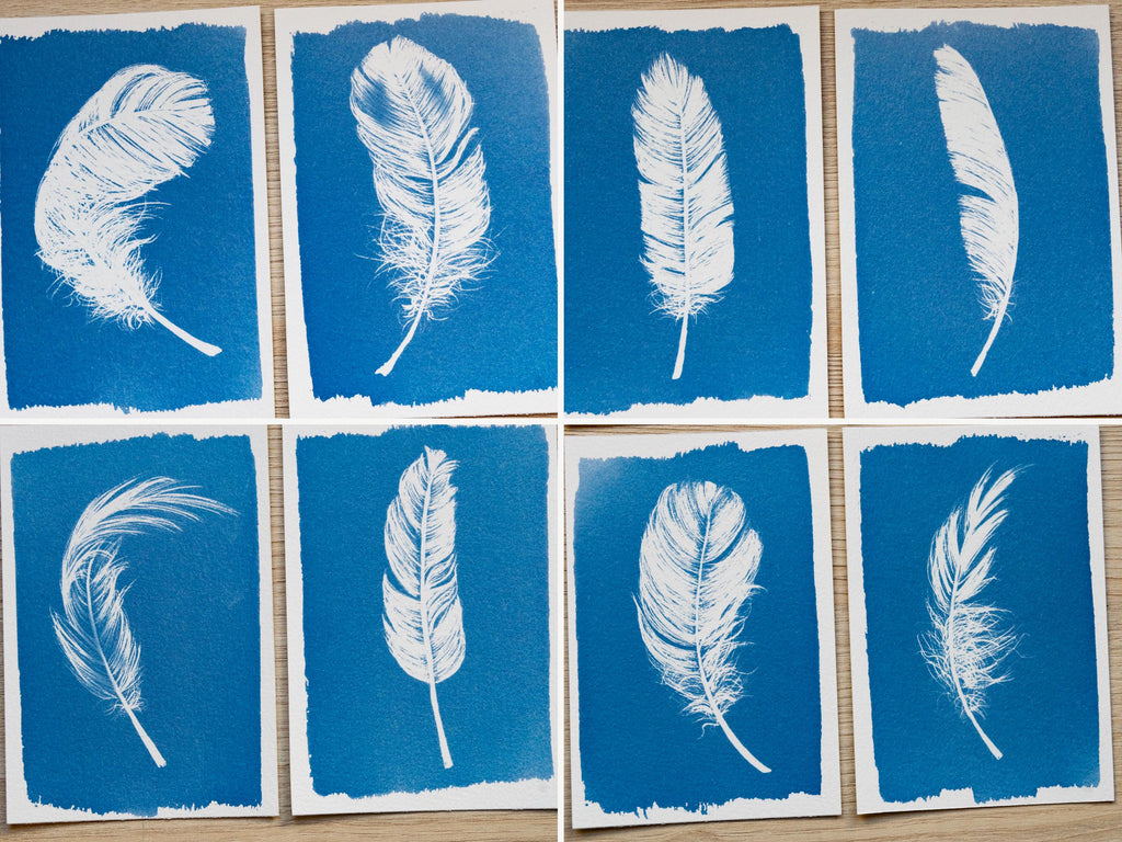 Feathers Stencils for solar printing