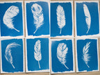 Feathers Stencils for solar printing