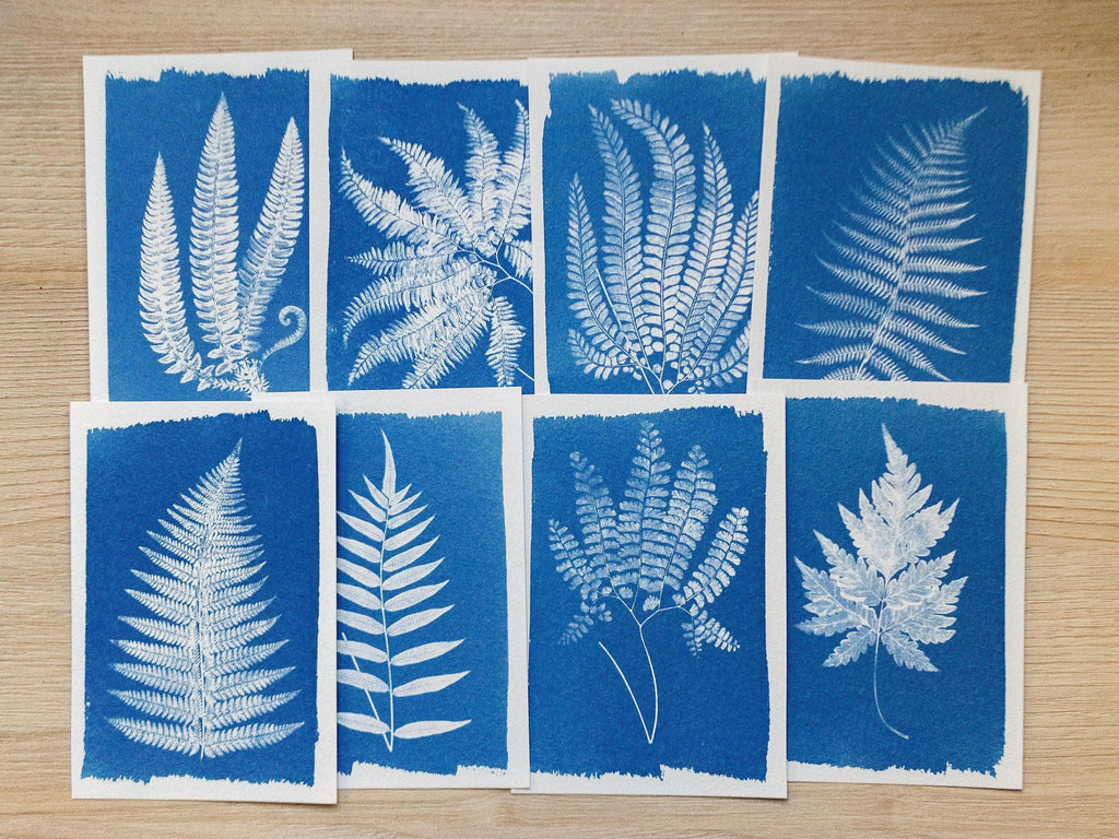 Fern Leaf Cyanotype Stencils