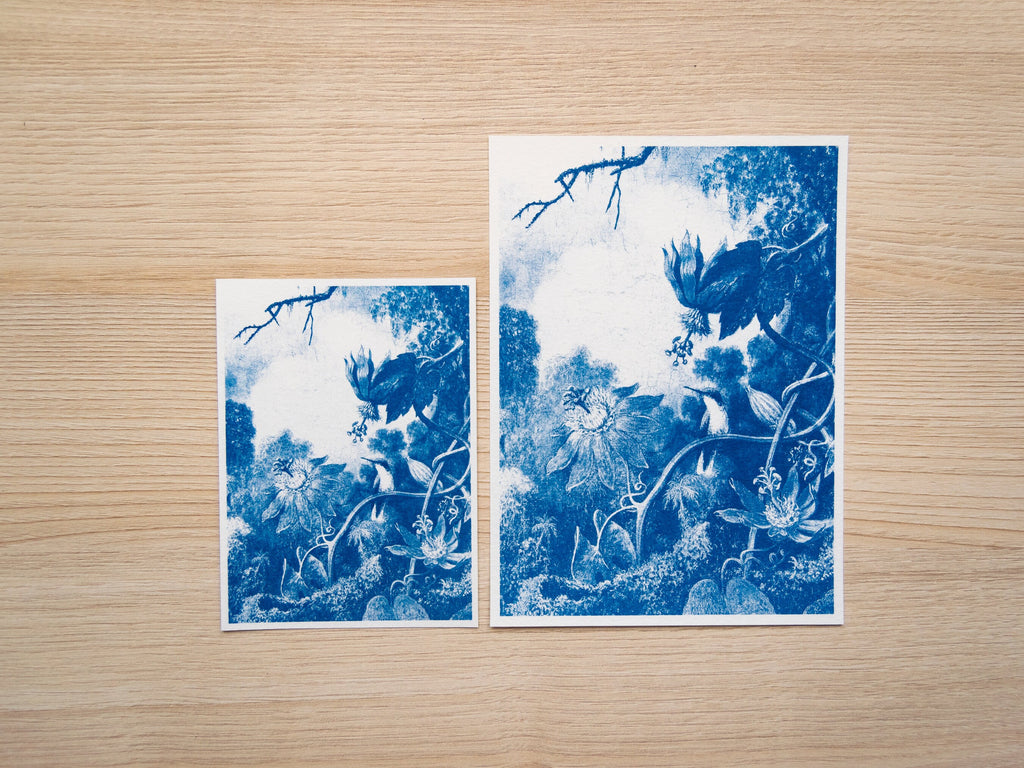 Floral Art cyanotype art made with negatives