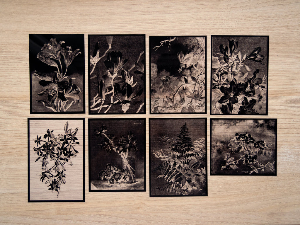 Floral Art stencils for solar printing