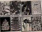 Greeting cards stencils for cyanotype