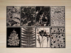 Greeting cards stencils for solar printing