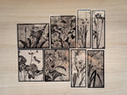 Hannah Borger floral illustrations stencils for cyanotype