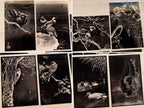 Japanese Animals solar printing Stencil