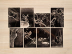 Japanese Animals solar printing Stencil Set