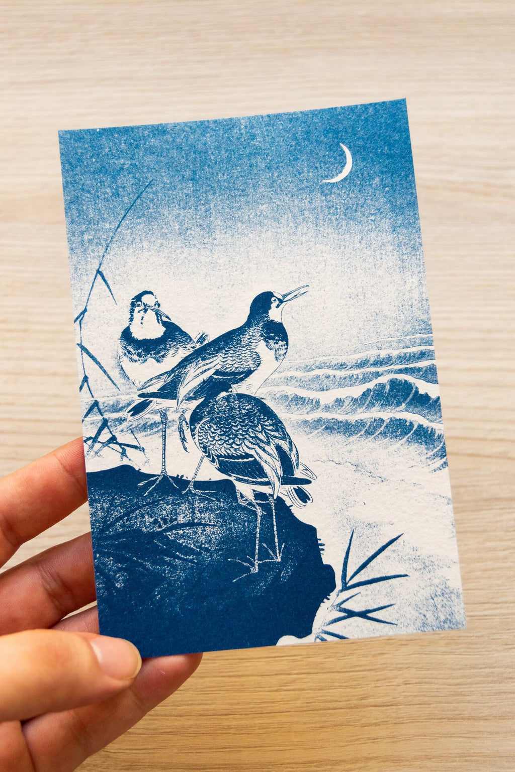Japanese birds cyanotype art