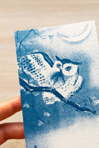 Japanese owl cyanotype print