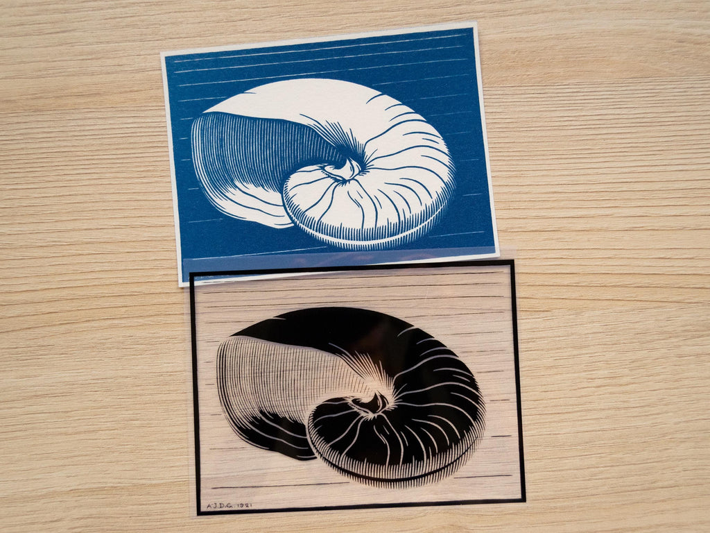 Julie de Graag shell