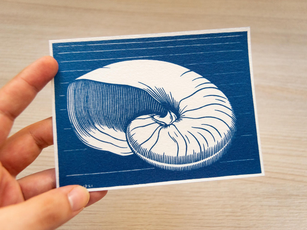 Julie de Graag shell made in cyanotype