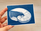 Julie de Graag shell made in cyanotype