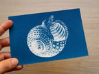 Marine Shell Cyanotype print