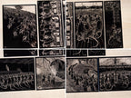 Mice cyanotype stencils for solar printing