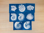 Nautilus and Shells Cyanotype print