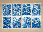 Plants and Animals Cyanotype Stencil Set