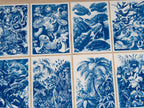 Plants and Animals Cyanotype prints