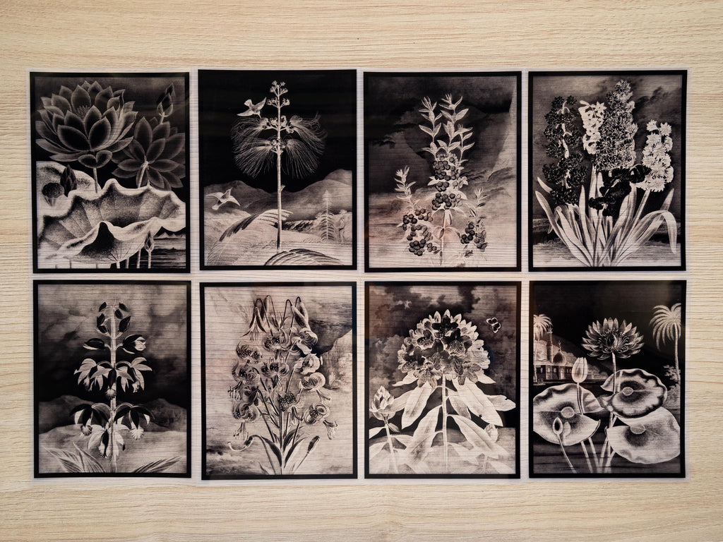 Robert John Thornton floral landscapes cyanotype stencils
