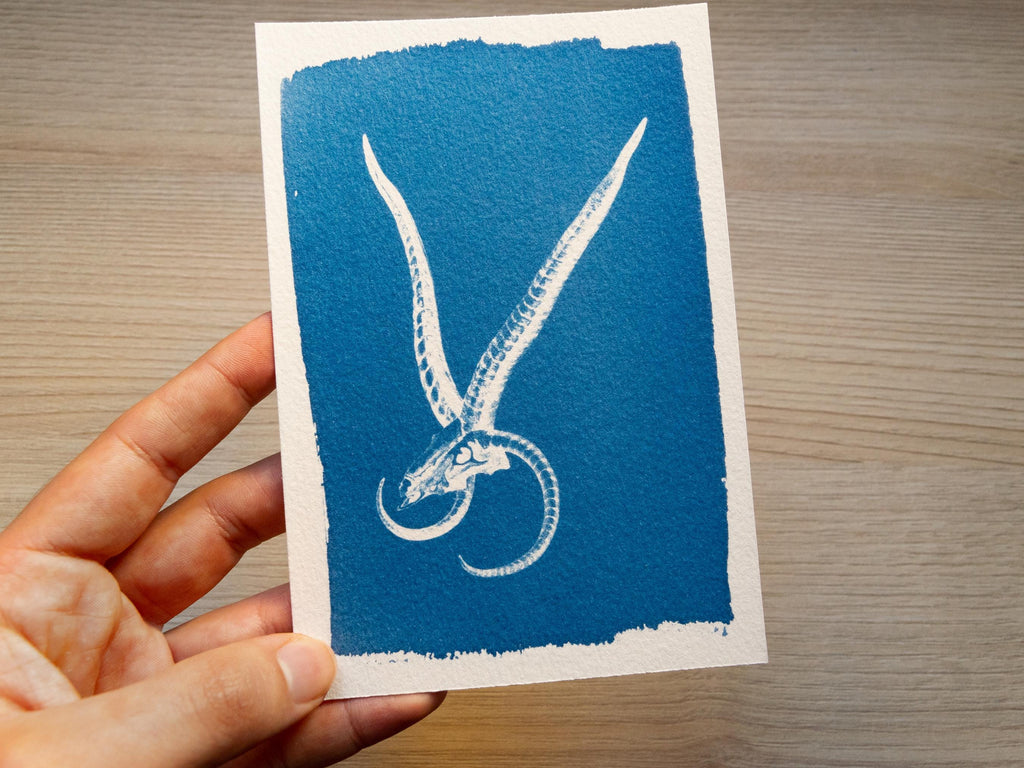 animal skull cyanotype stencil
