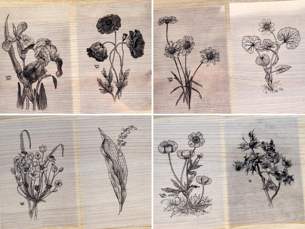 beautiful flowers to make cyanotype