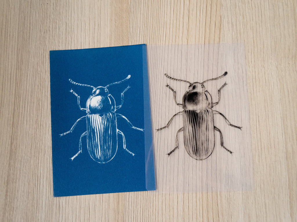 beetle solar art