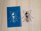 beetle solar art