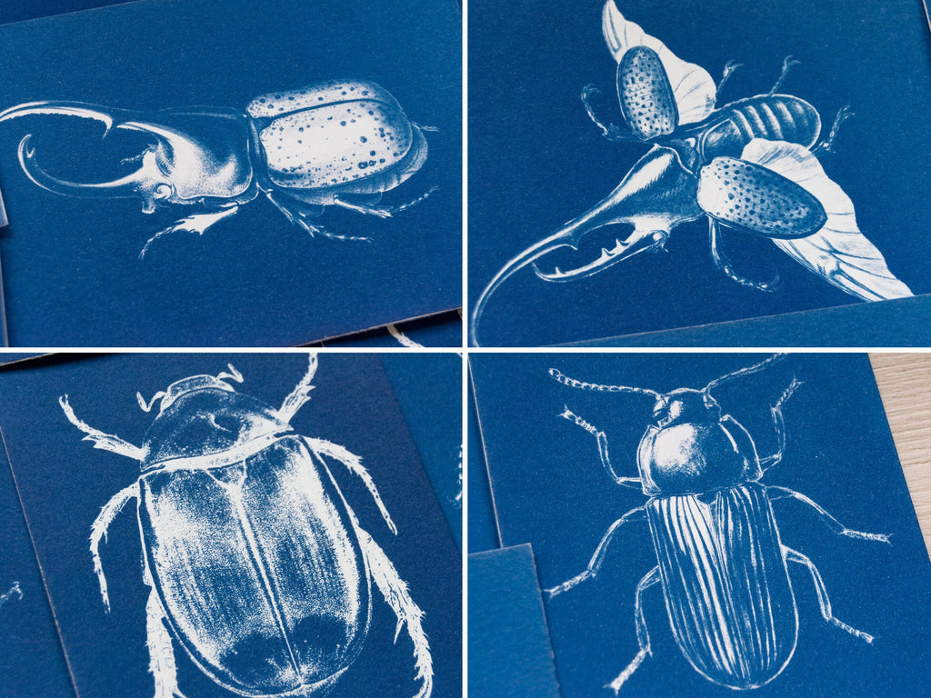 beetles cyanotype art