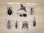 beetles stencils for solar printing