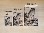 big cyanotype negatives