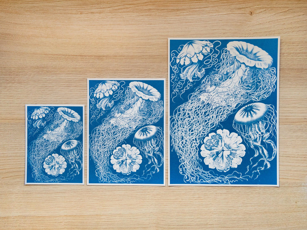 big cyanotype prints for wall art