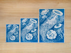 big cyanotype prints for wall art