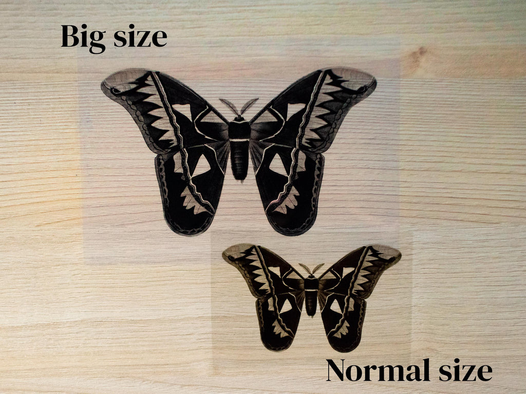 big cyanotype stencil of butterflies