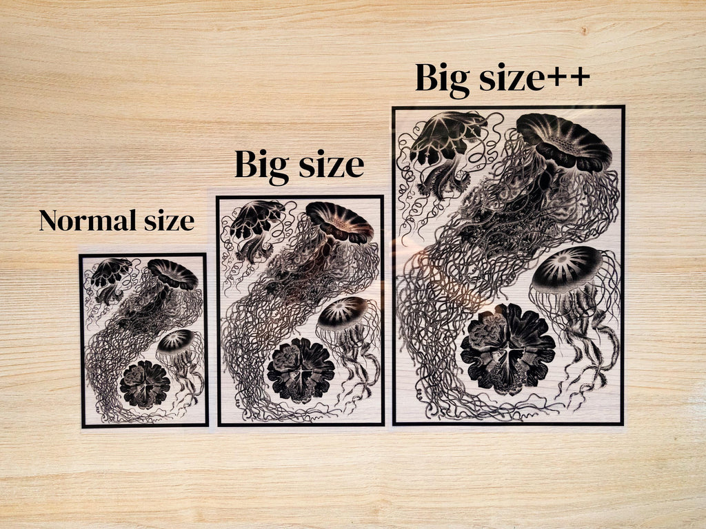 big cyanotype stencils for cyanotype wall art