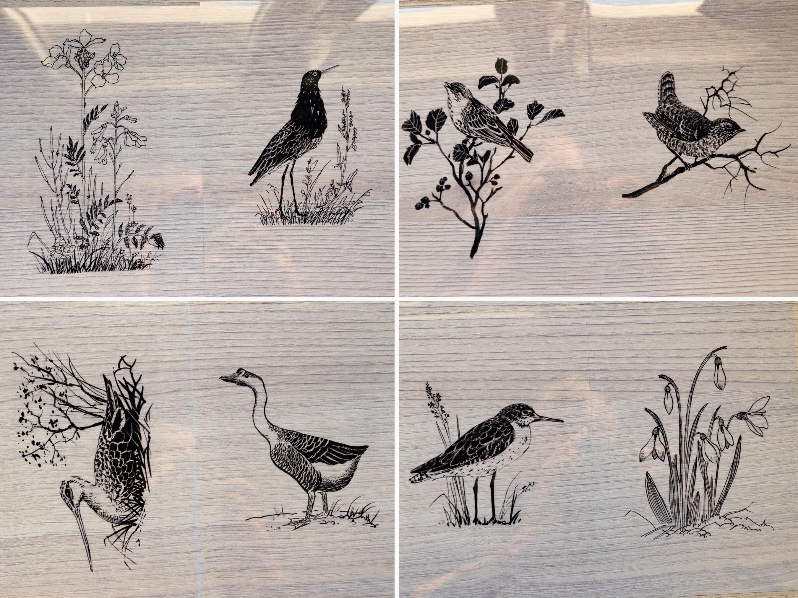 birds stencils for cyanotype printing