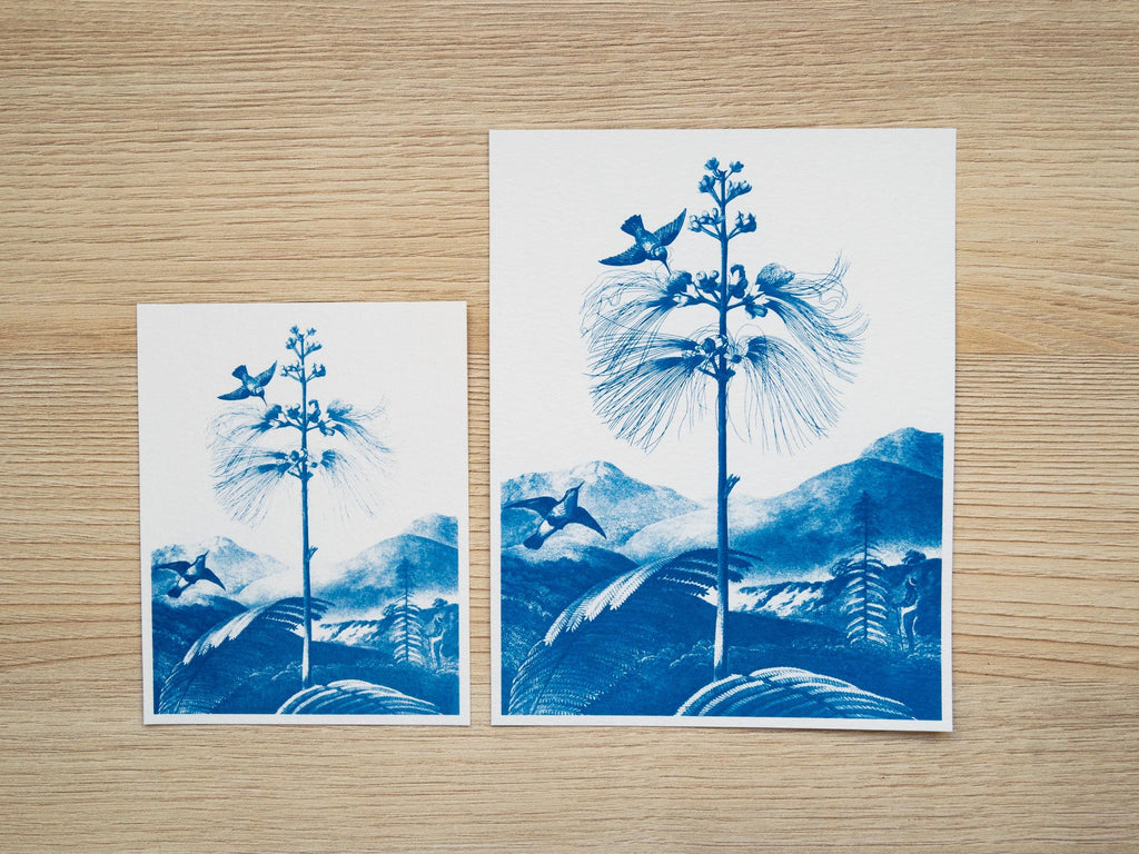 botanical cyanotype prints with negatives
