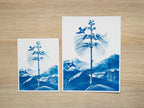 botanical cyanotype prints with negatives
