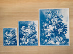 botanical cyanotype stencils for solar printing