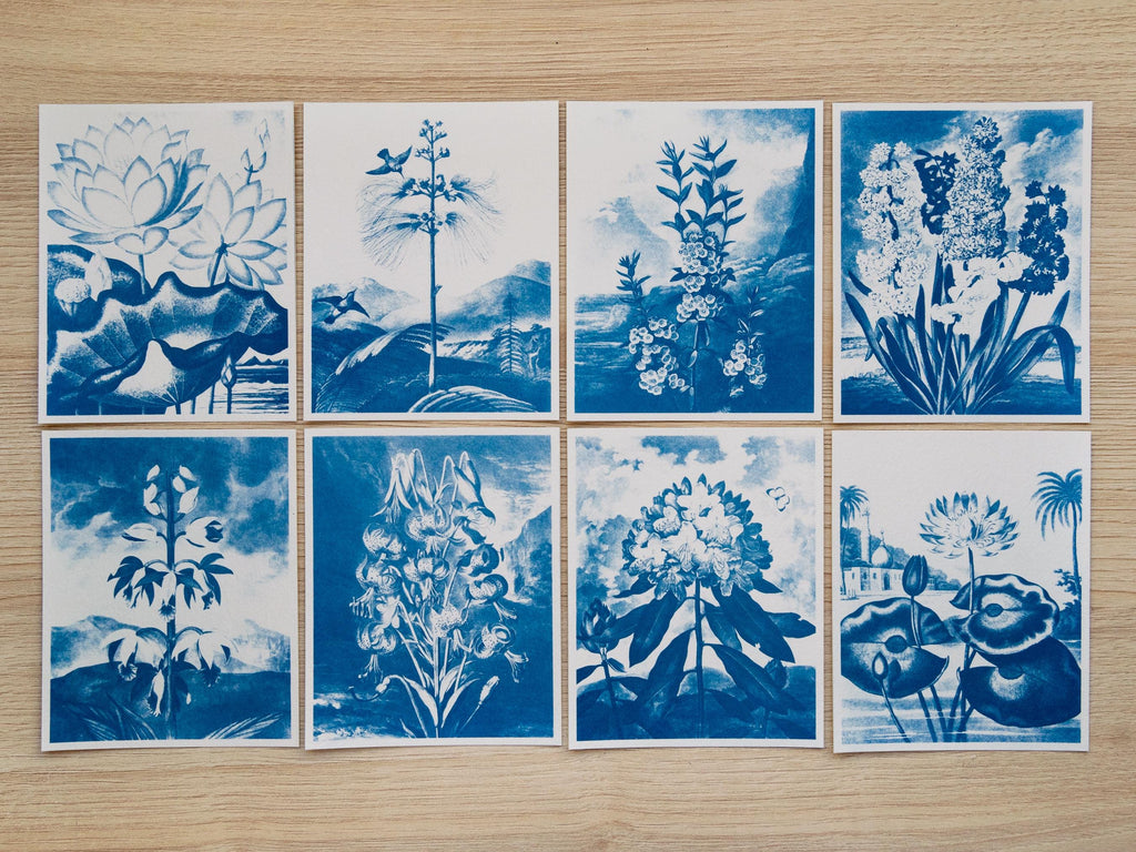 botanical diy cyanotype crafts
