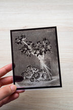 botanical diy ideas for cyanotype