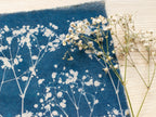 botanical fabric cyanotype prints