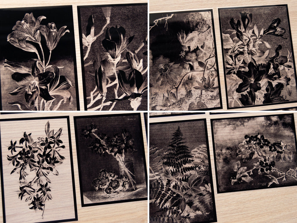 botanical ideas for cyanotype printing