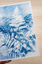 botanical ideas for solar printing