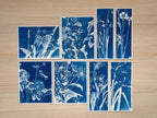 botanical solar art