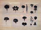 botanical stencil for solar printing
