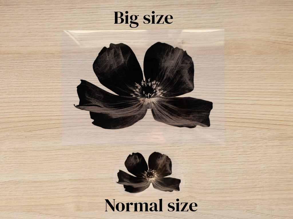 botanical stencils for solar printing