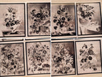 botanical still life cyanotype stencils
