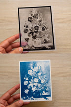 botanical still life solar printing crafts ideas